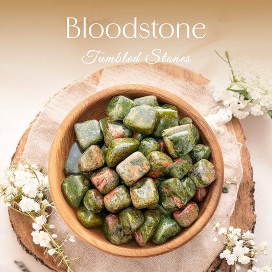 1lb Bloodstone Tumbled Stone