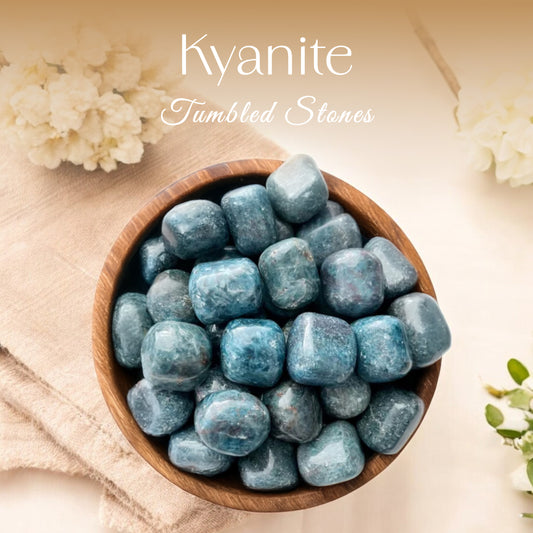 1lb Kyanite Tumbled Stone