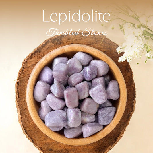 1lb Lepidolite Tumbled Stone