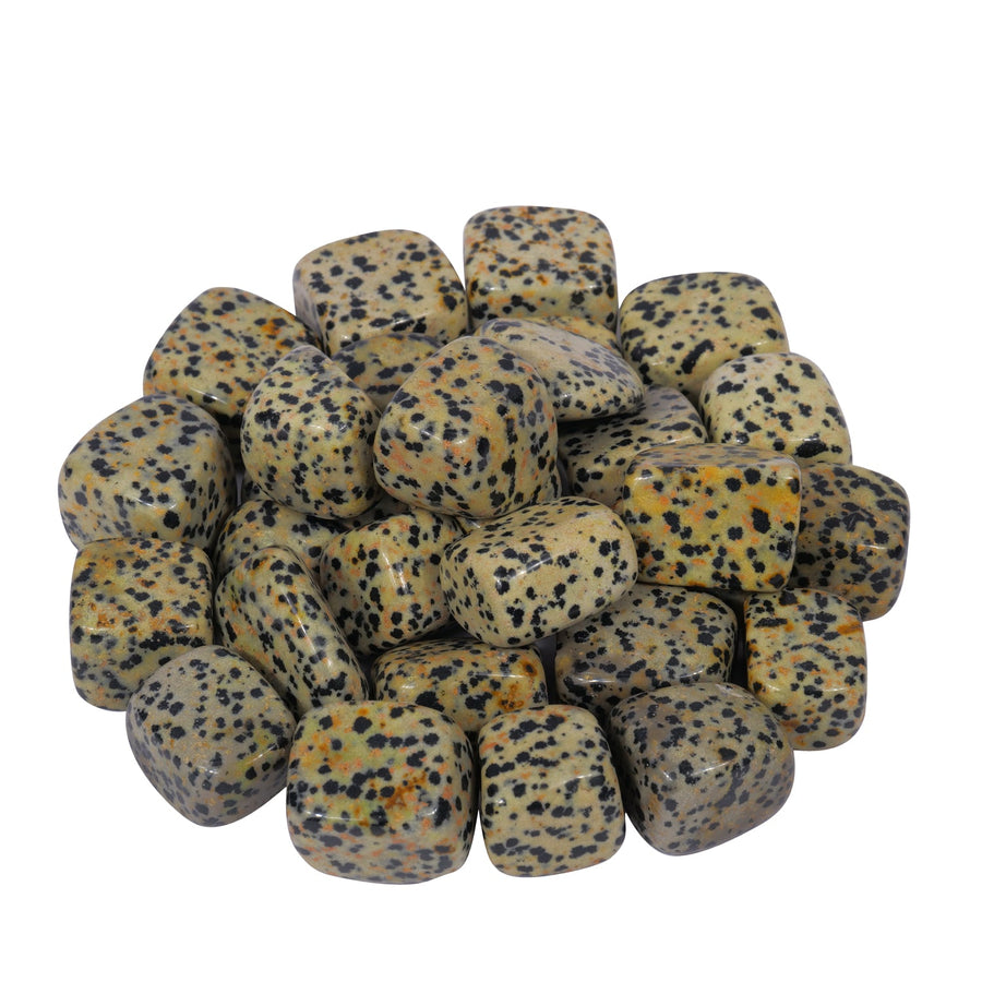 Dalmatian Jasper Tumbled Stone