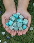 Amazonite Polished Tumbled Stones 1 Lb