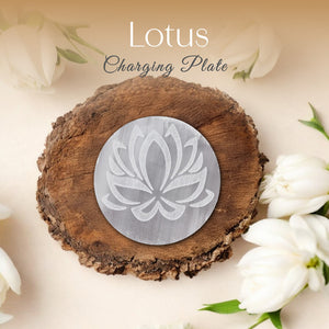Lotus Fol Charging Plate