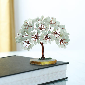 Green Jade Slice Base Tree (3-4 Inch)