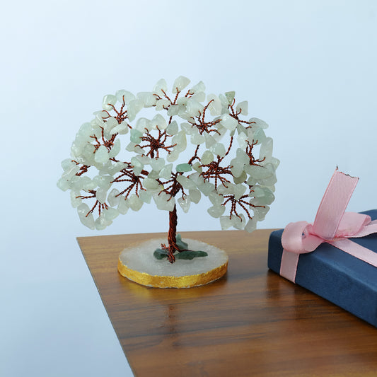 Green Jade Slice Base Tree (3-4 Inch)