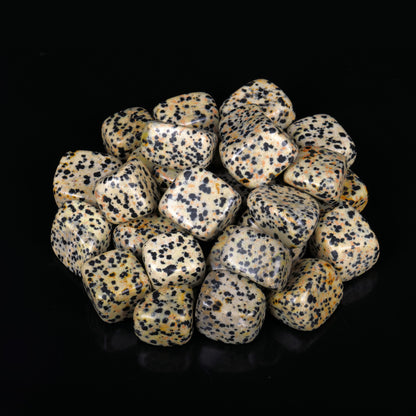 Dalmatian Jasper Tumbled Stone