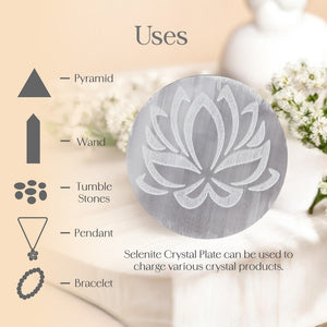Lotus Fol Charging Plate