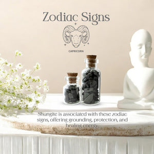 Shungite Crystal Chips