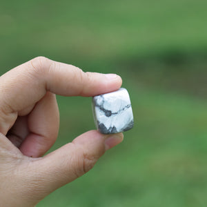 Howlite Tumbled Healing Stone 1lb