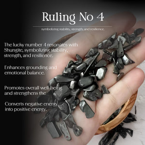 Shungite Crystal Chips