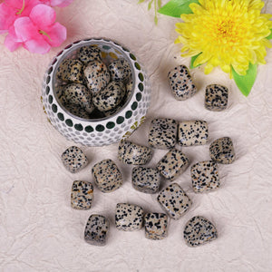 Dalmatian Jasper Tumbled Stone (1 lb Pack)