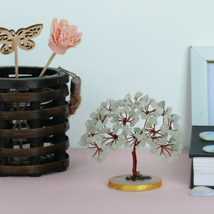 Green Jade Slice Base Tree (3-4 Inch)