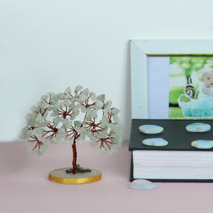 Green Jade Slice Base Tree (3-4 Inch)