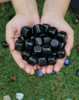 Black Tourmaline Wholesale Tumbled Stones 1/2 lb