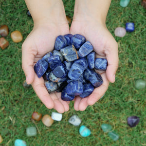 Sodalite Tumbled Stone (1lb Pack)