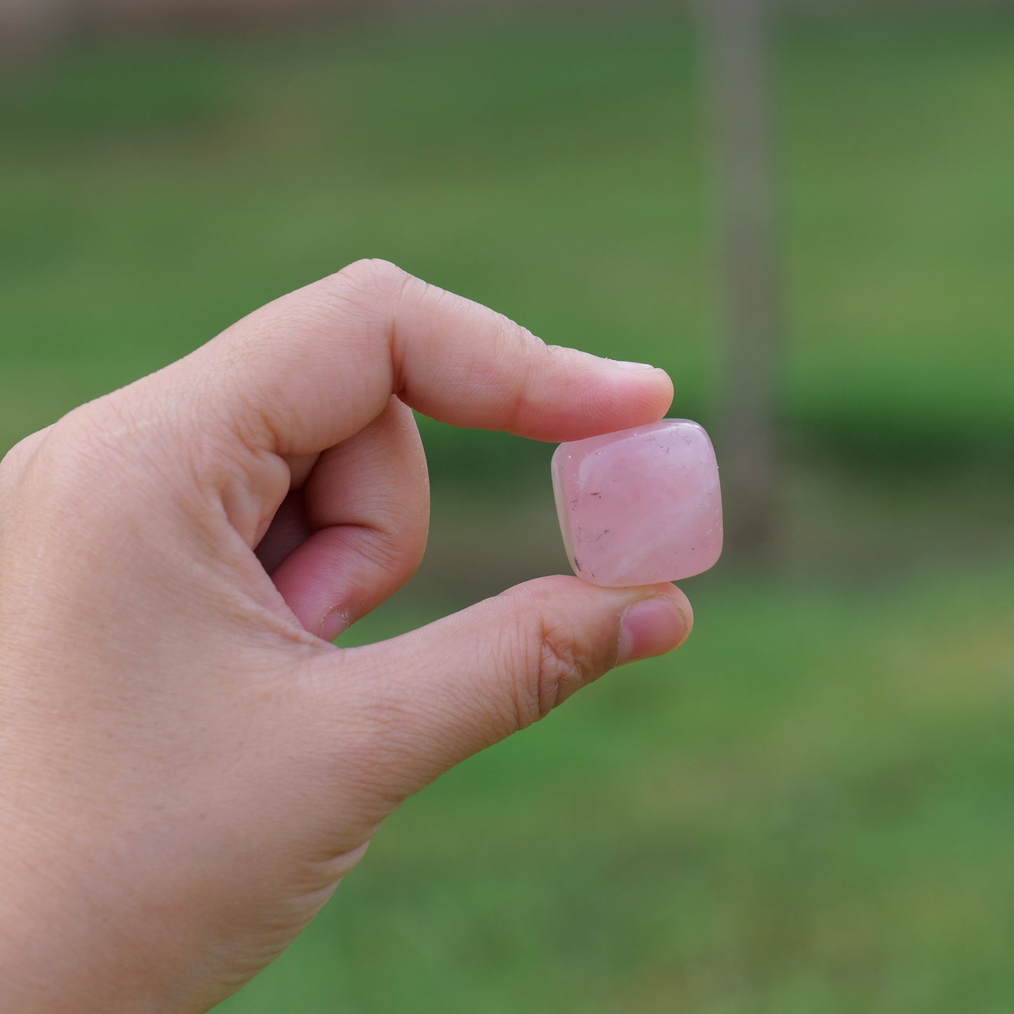 Rose Quartz Tumbled Stone