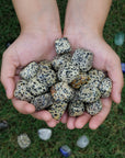 Dalmatian Jasper DIY Stone Tumbling Tumbled 1 Lb