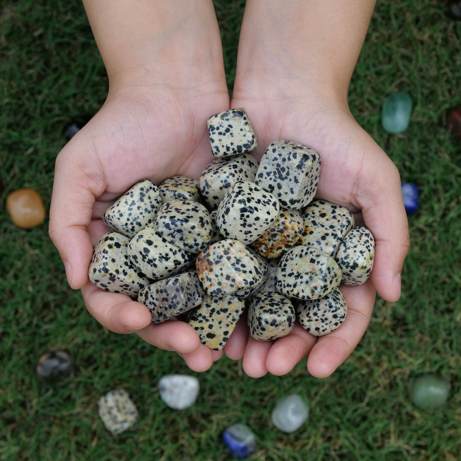 Dalmatian Jasper DIY Stone Tumbling Tumbled 1 Lb