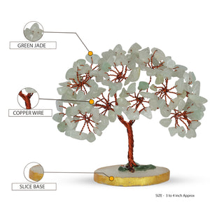 Green Jade Slice Base Tree (3-4 Inch)