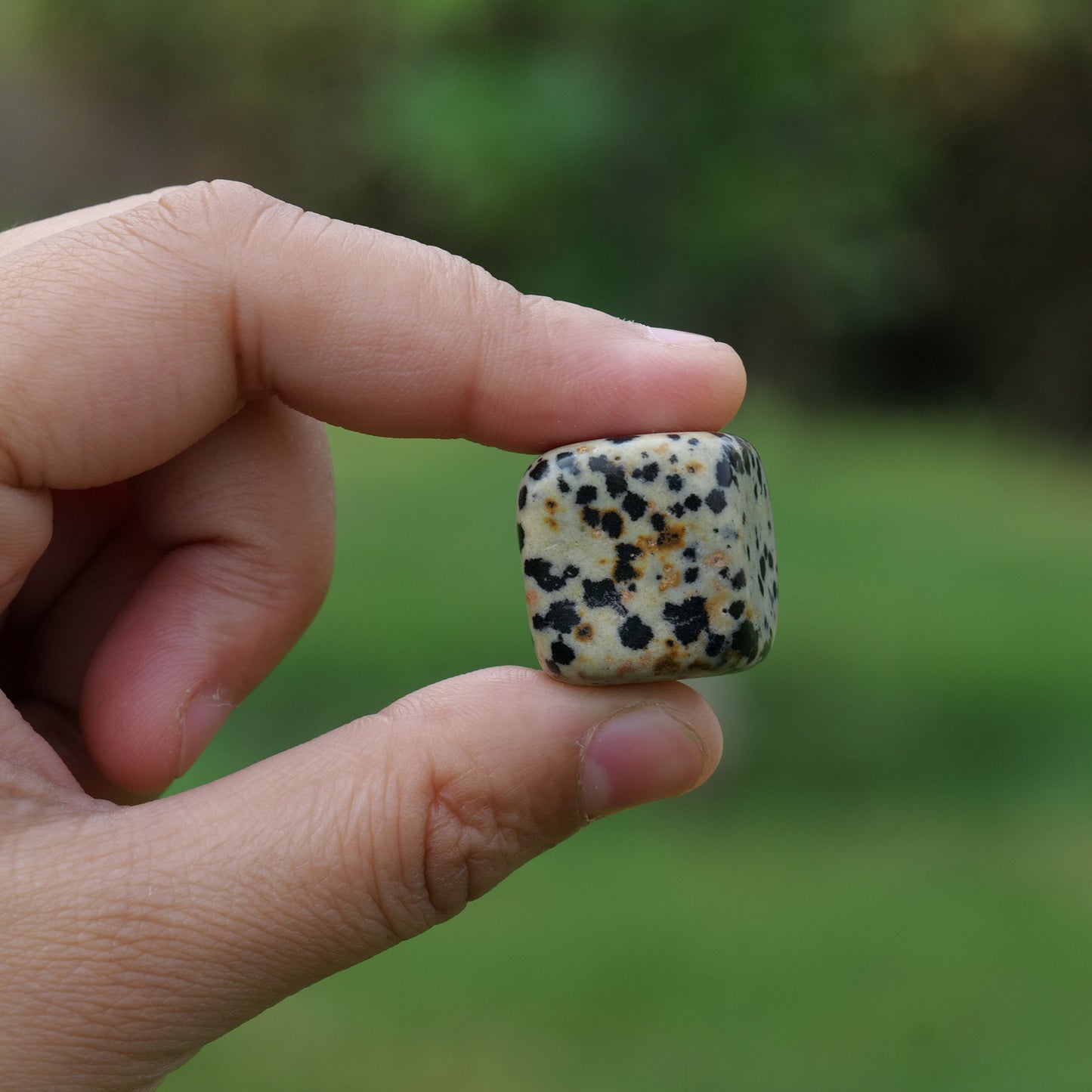 Dalmatian Jasper Tumbled Stone