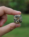 Dalmatian Jasper Tumbled Stone