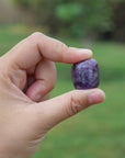 Amethyst Healing Crystal Tumbled Stones 1/2 lb