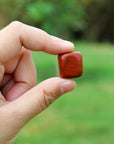 Red Jasper Crystal Meditation Tumbled Stones 1/2 lb