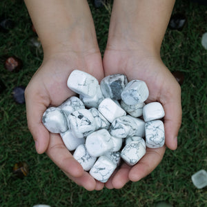 Howlite Tumbled Healing Stone 1lb
