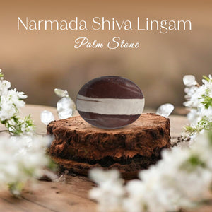 Narmada Shiva Linga Palm Stone