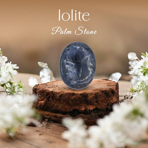 Lolite Palm Stone
