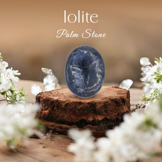 Lolite Palm Stone