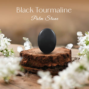 Black Tourmaline Palm Stone