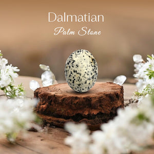 Dalmatian Palm Stone