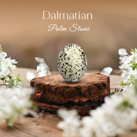 Dalmatian Palm Stone