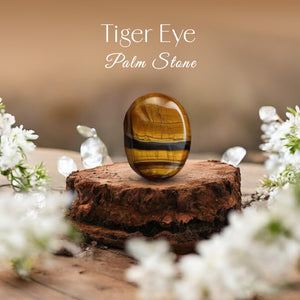Tiger Eye Palm Stone