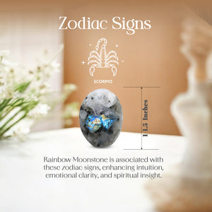 Rainbow Moonstone Palm Stone