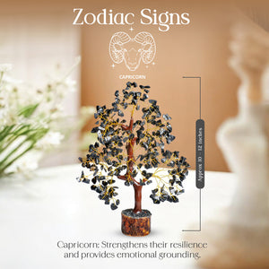 Black Tourmaline Crystal Tree