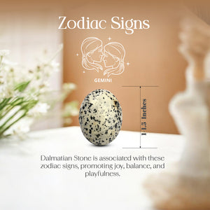 Dalmatian Palm Stone