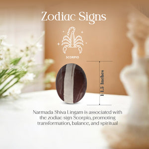 Narmada Shiva Linga Palm Stone