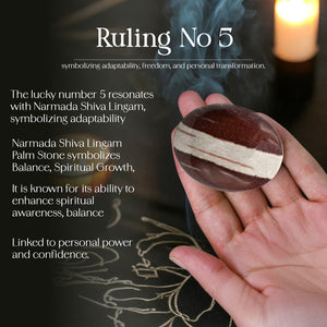 Narmada Shiva Linga Palm Stone