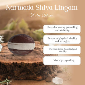 Narmada Shiva Linga Palm Stone