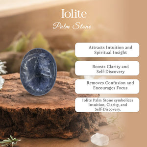 Lolite Palm Stone