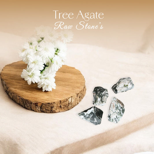 Tree Agate Raw Stone