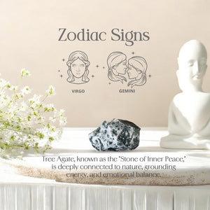 Tree Agate Raw Stone