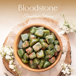 1lb Bloodstone Tumbled Stone