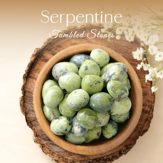 1lb Serpentine Tumbled Stone