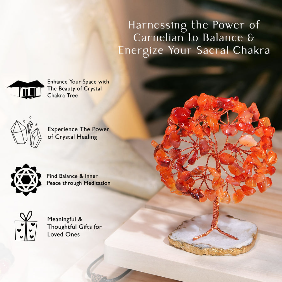 Carnelian Sacral Chakra Tree, Attracts Prosperity and Success