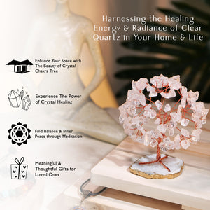 Clear Quartz Slice Base Tree (3 -4 Inch)