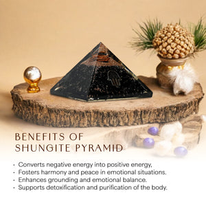 Shungite Hamsa Hand Orgone Crystal Pyramid