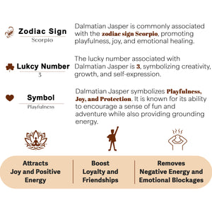 Dalmatian Jasper Orgone Crystal Pyramid