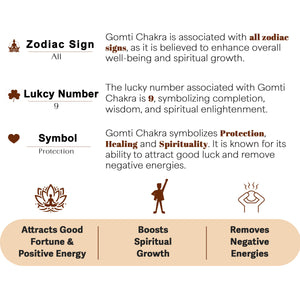 Gomti Chakra Orgone Pyramid for Positivity